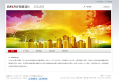 灰色集團(tuán)企業(yè)網(wǎng)站模板